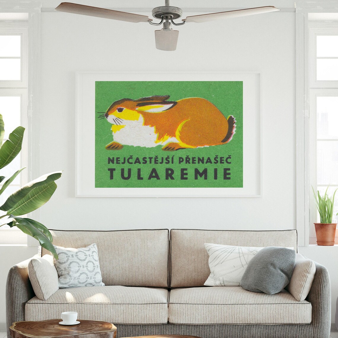 Sleeping Rabbit Vintage Czech Matchbox Label Tularemia Warning Green Art Poster - Image 3