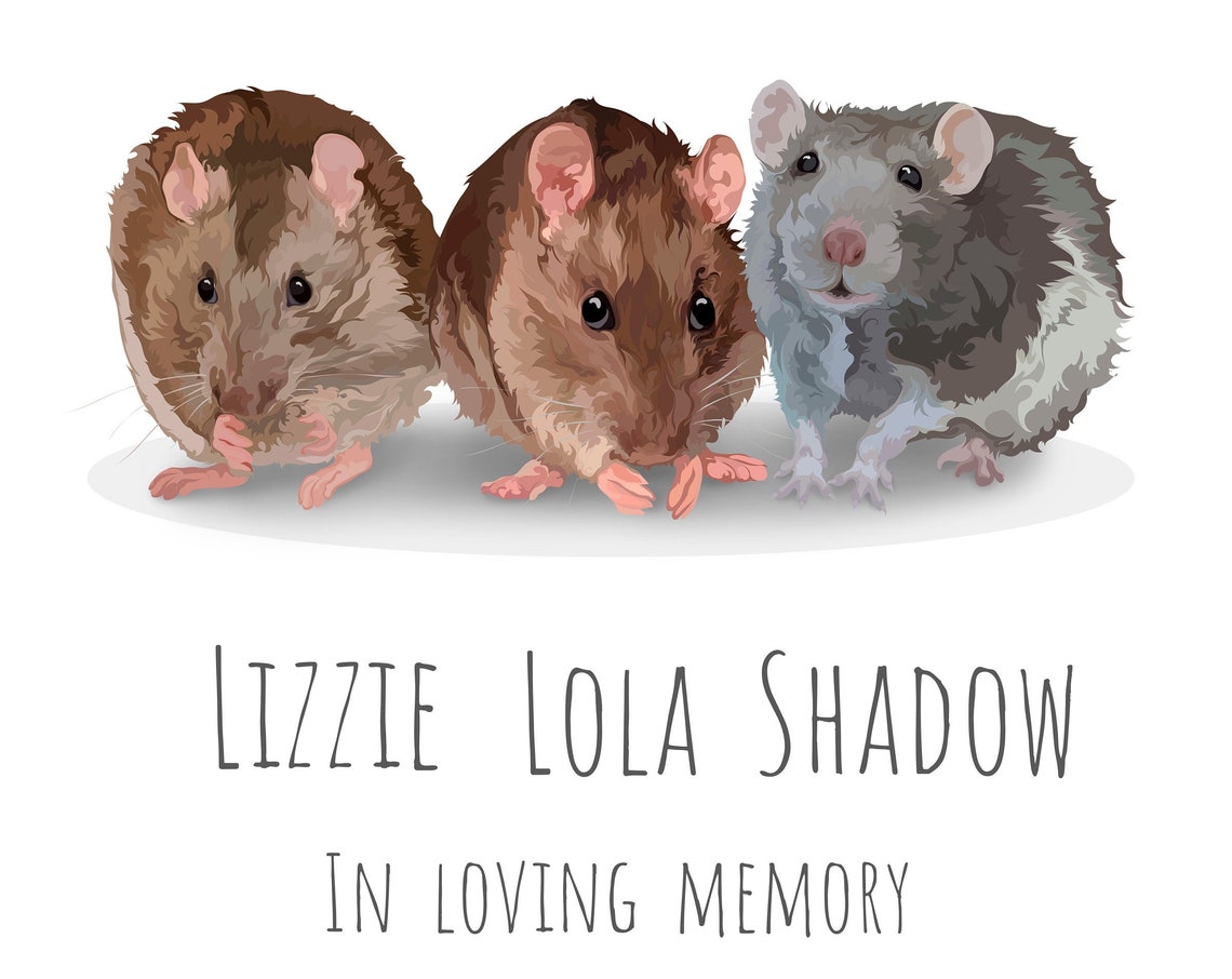 Custom Rat Portrait in Loving Memory Lizzie Lola and Shadow Poster