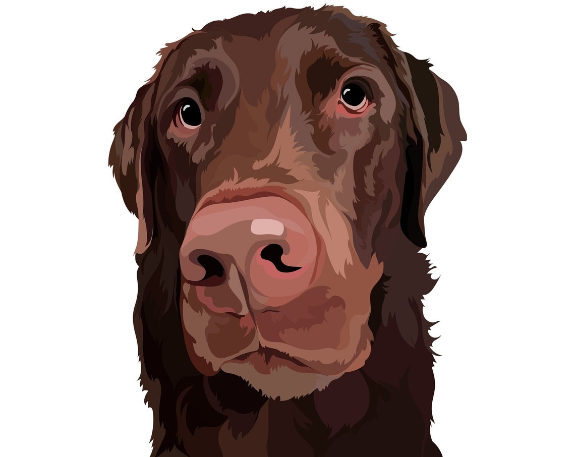 Chocolate Labrador Retriever Close-Up Custom Pet Portrait Poster