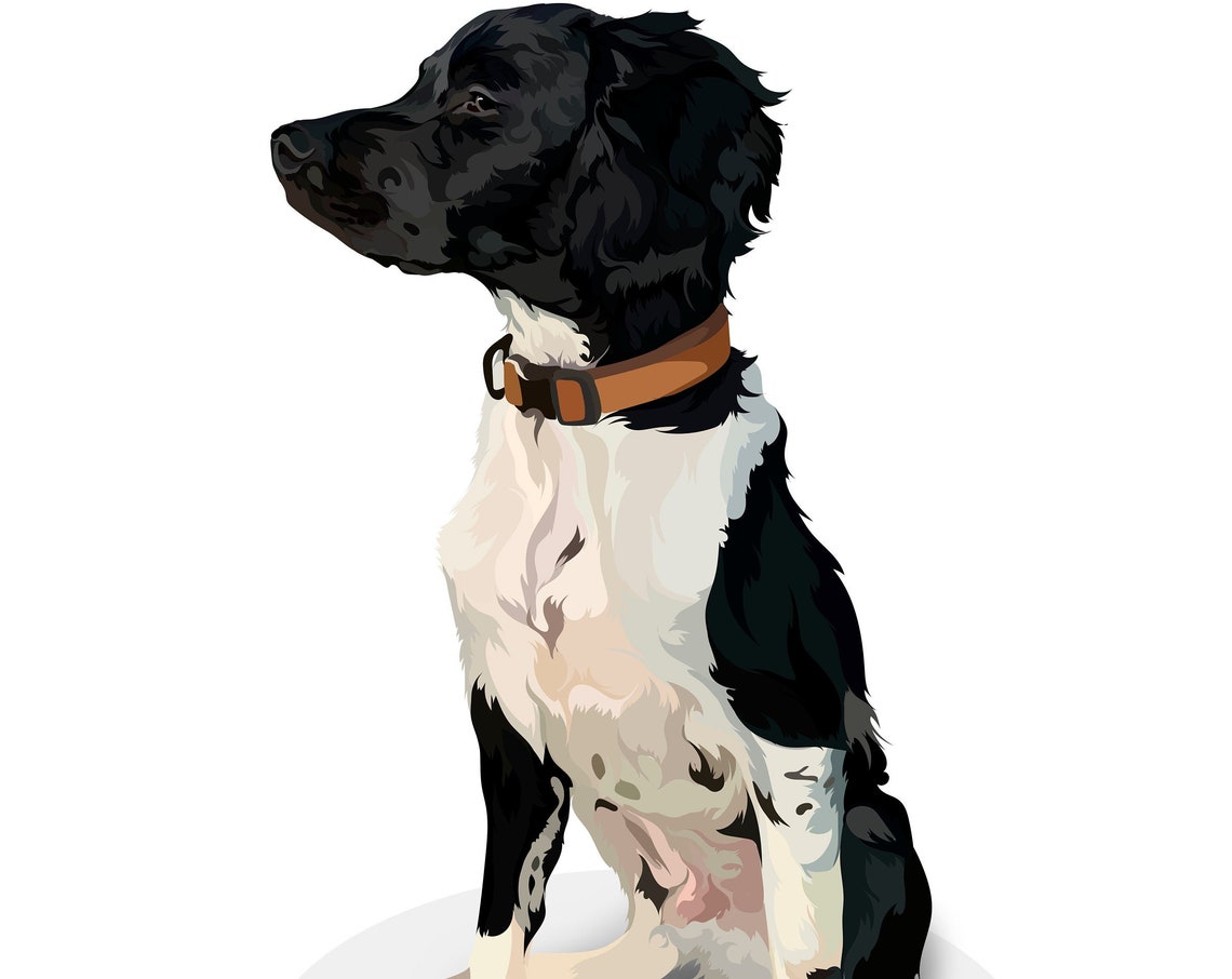 Black and White Spaniel Sitting Custom Vector Pet Portrait Poster