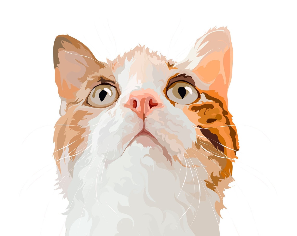 Orange and White Cat Close-Up Custom Vector Illustration Poster