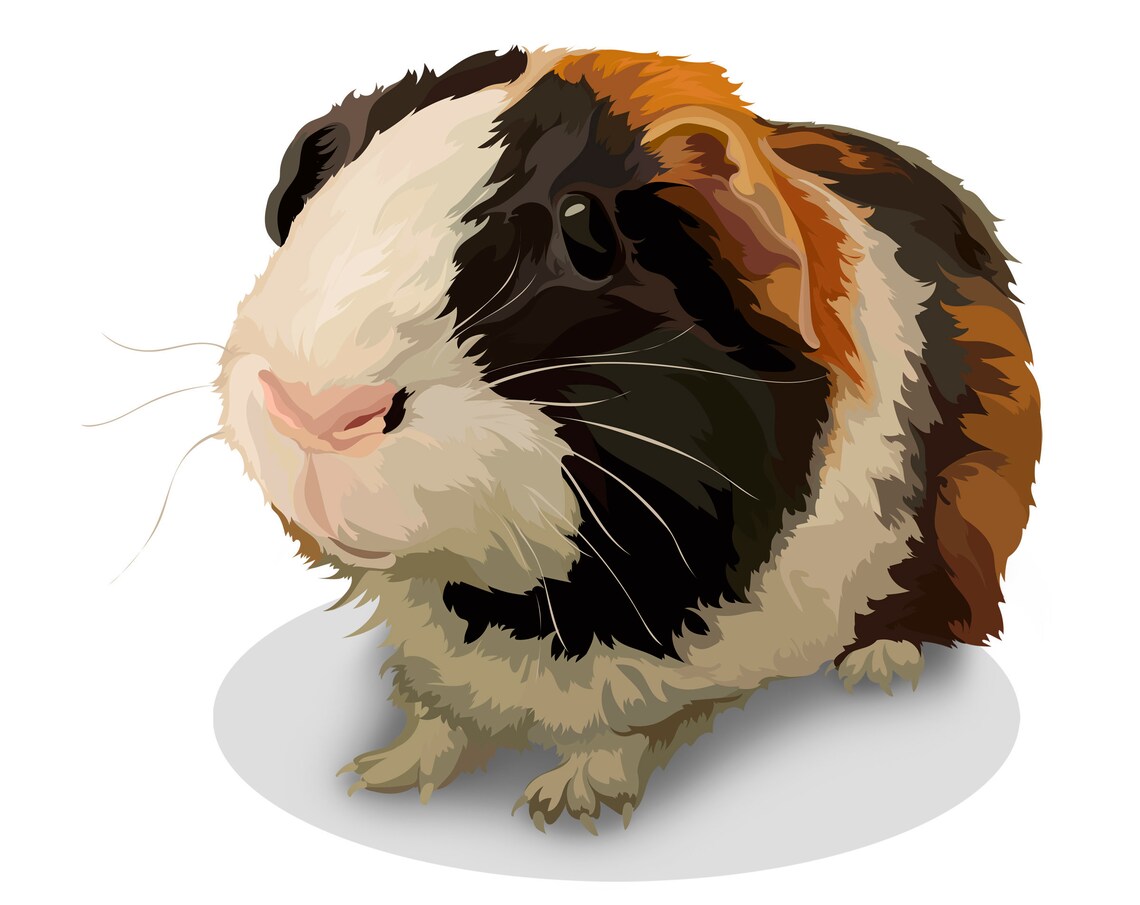 Custom Guinea Pig Portrait Illustration Personalized Pet Gift Print