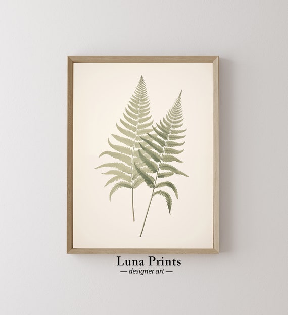 Fern Botanical Print Art Vintage Nature Illustration Spring