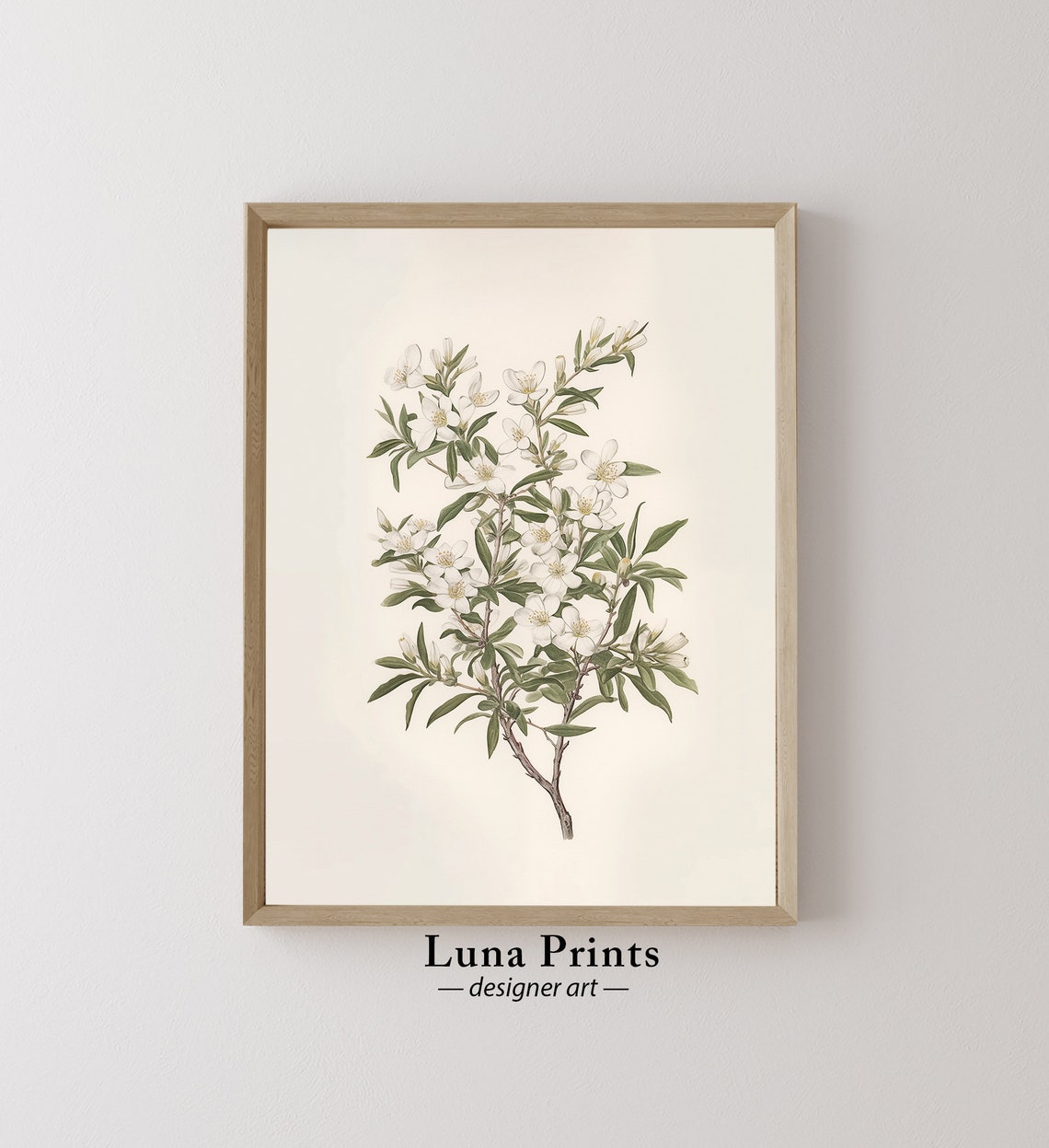 White Flowers Botanical Print Art Vintage Nature Illustration Spring