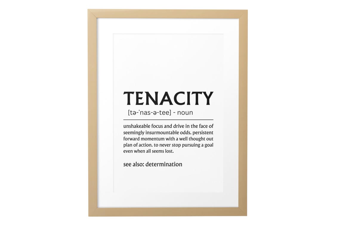 Tenacity Dictionary Definition Unshakeable Drive Quote Poster - Image 3