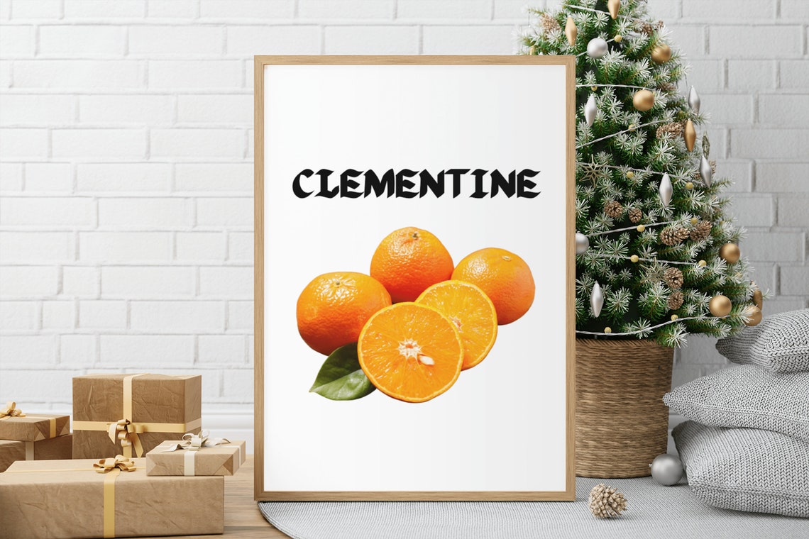 Clementine Citrus Fruit Illustration Modern Kitchen Wall Decor Poster