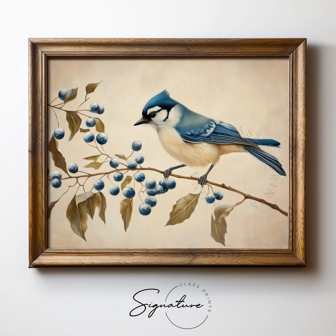 Vivid Blue Jay With Frosty Blue Berries Rustic Winter Bird Poster - Image 5