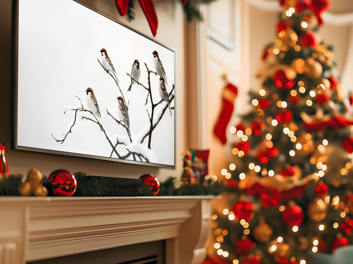 Peaceful Five Sparrows On Snowy Branches Winter Frame TV Art Poster - Image 5