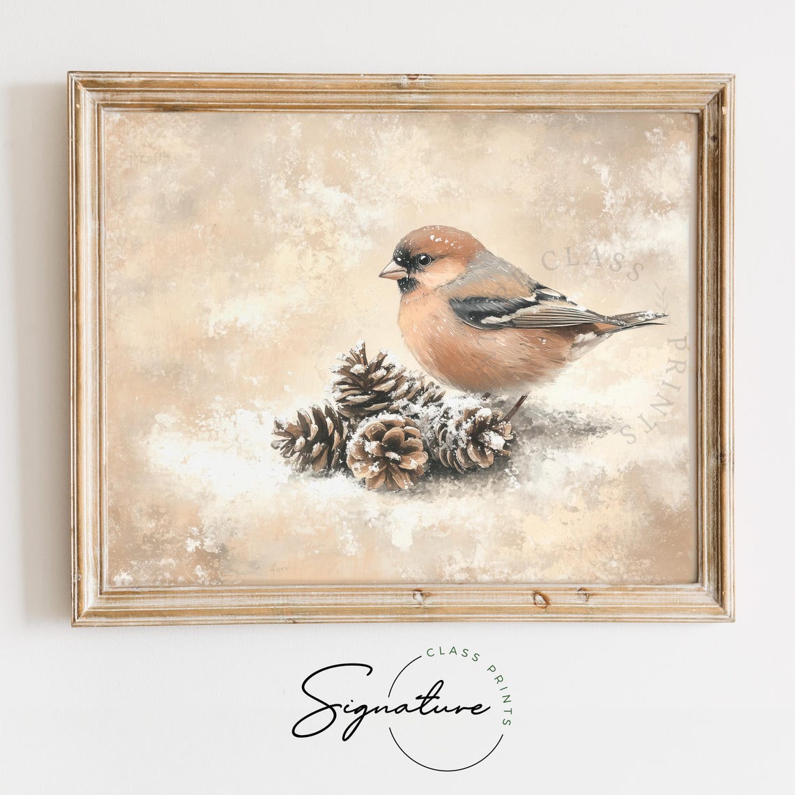 Chaffinch on Frosted Pinecones Rustic Winter Bird Painting Poster