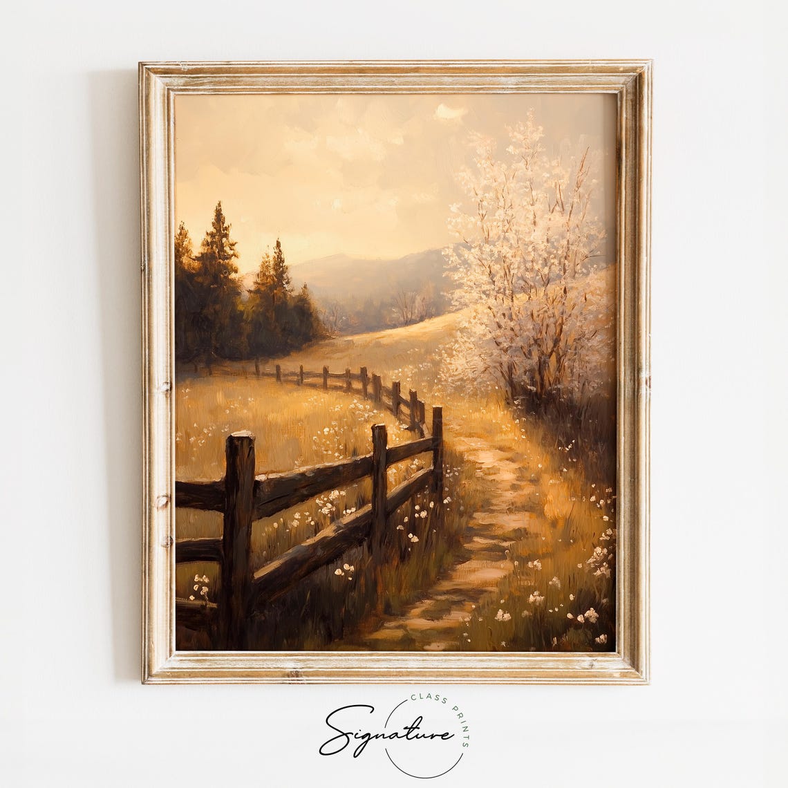 Rustic Fence On Gentle Hillside White Blossom Tree Golden Light Poster