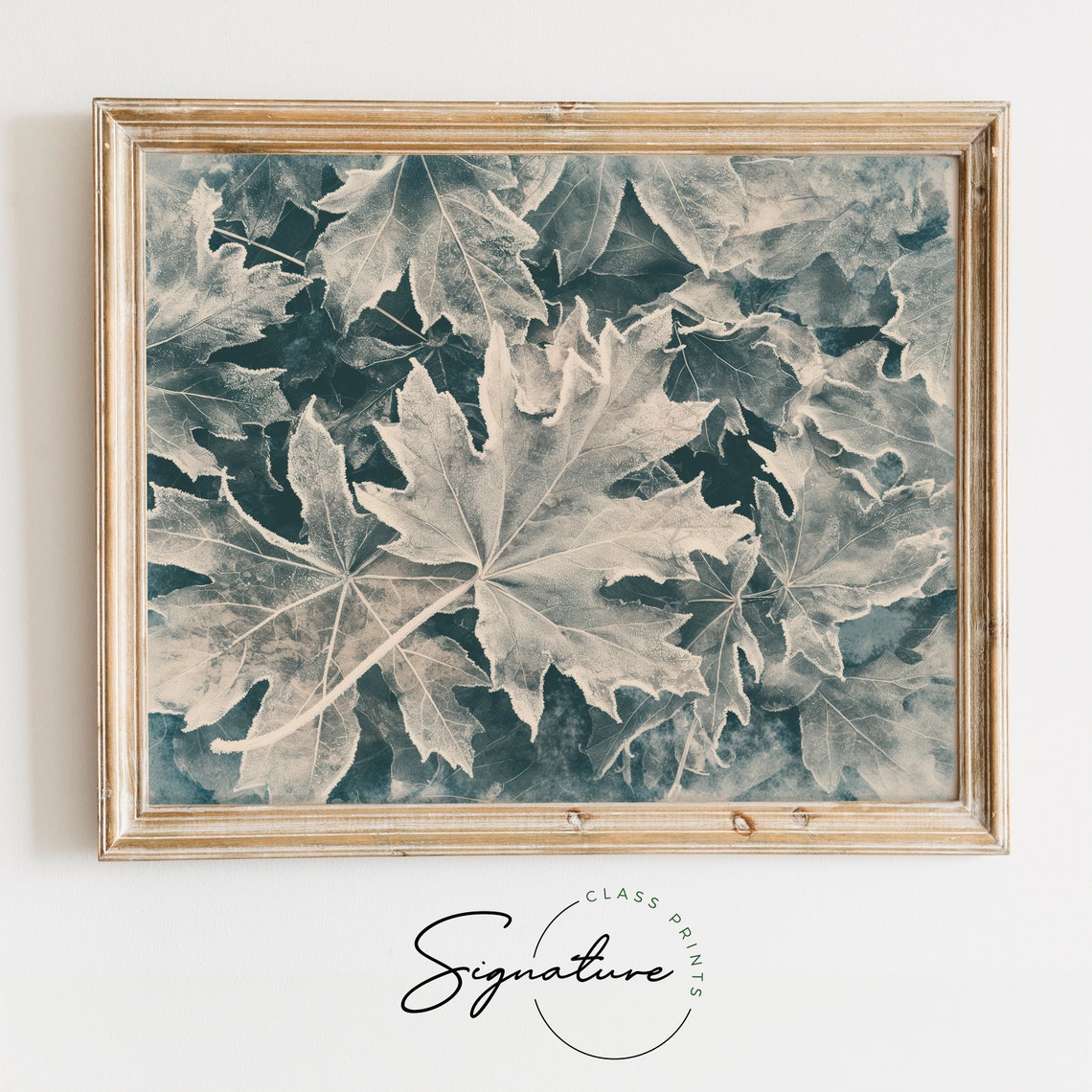 Frosted Maple Leaves in Cyan Blue Botanical Winter Scene Poster