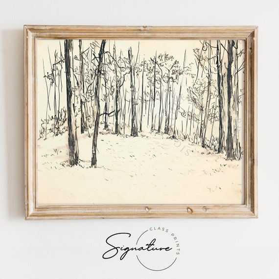Secluded Forest Clearing Sketch Peaceful Forest Scene Art Woodland Illustration Nature Lovers Decor Calm Forest Print 910
