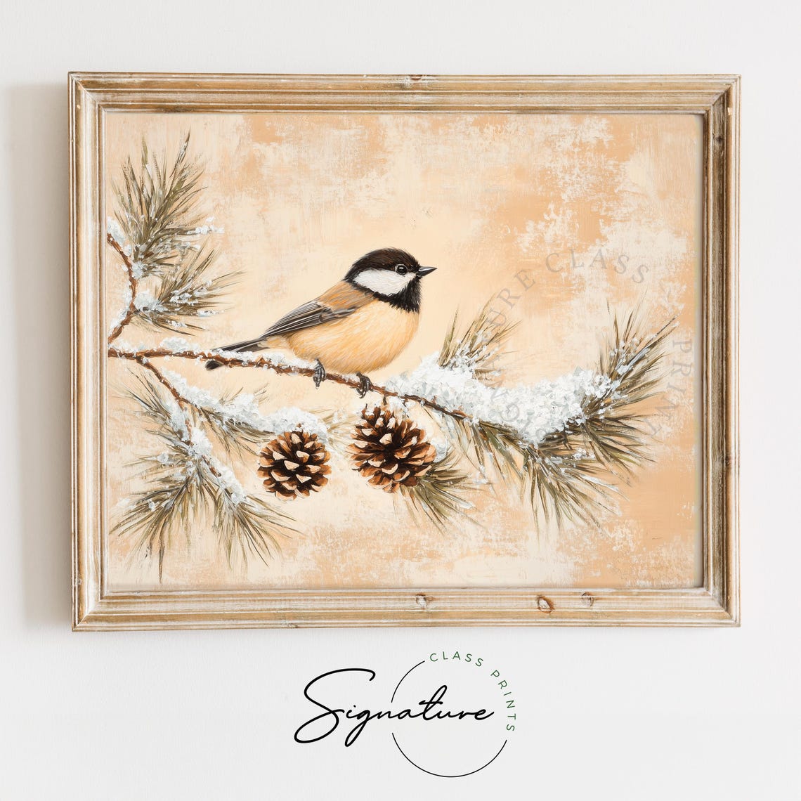 Carolina Chickadee on Snowy Pine Branch With Cones Bird Poster