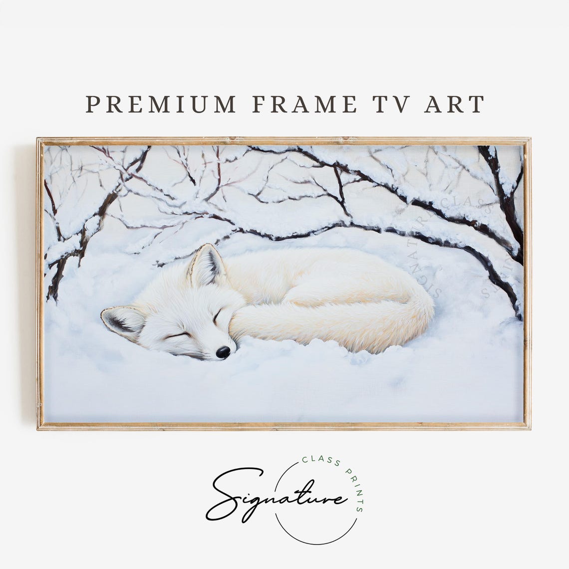 White Fox Sleeping Curled in Snow Bare Winter Branches Poster
