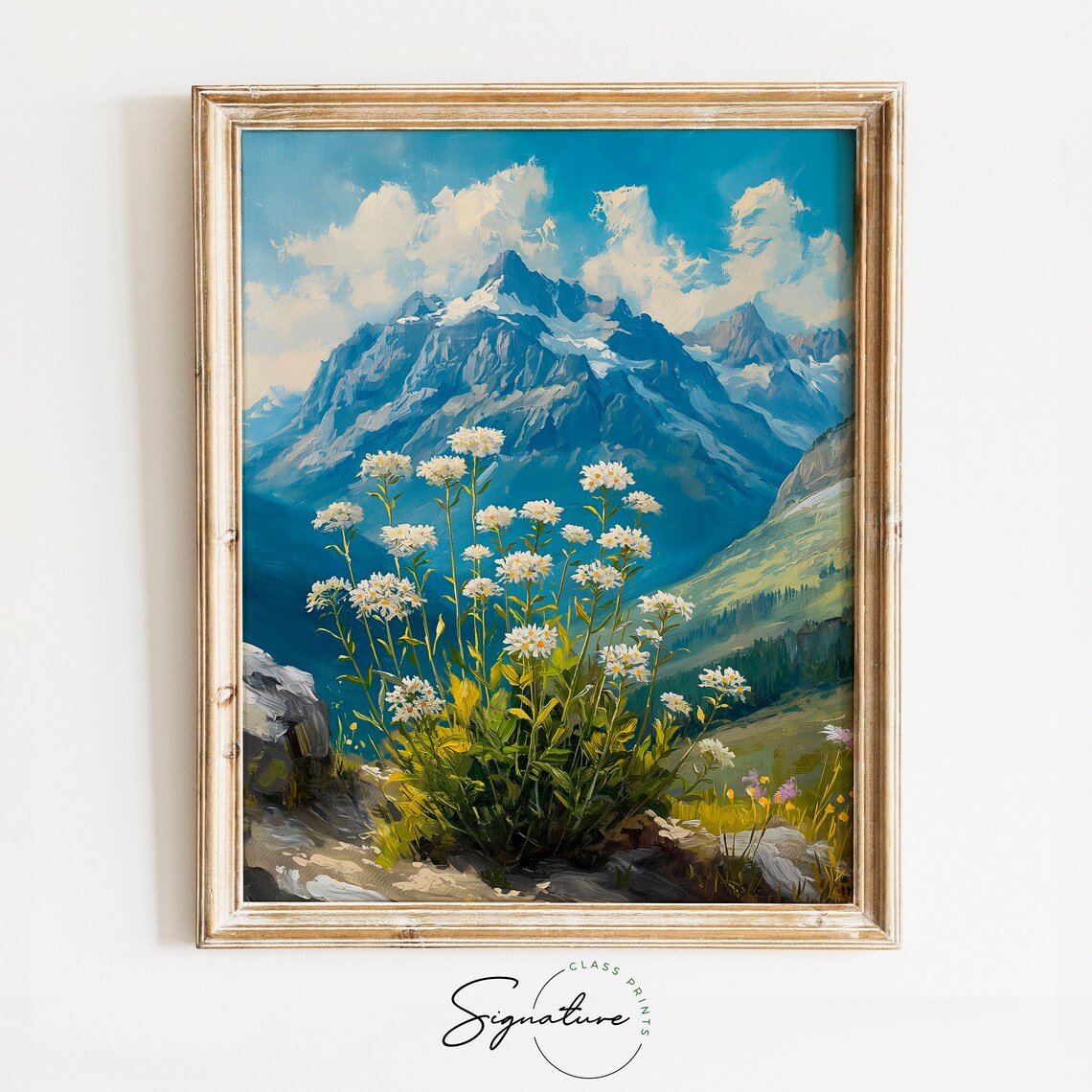 Alpine Meadow Edelweiss Blossoms Wildflower Rocky Snowy Peak Poster