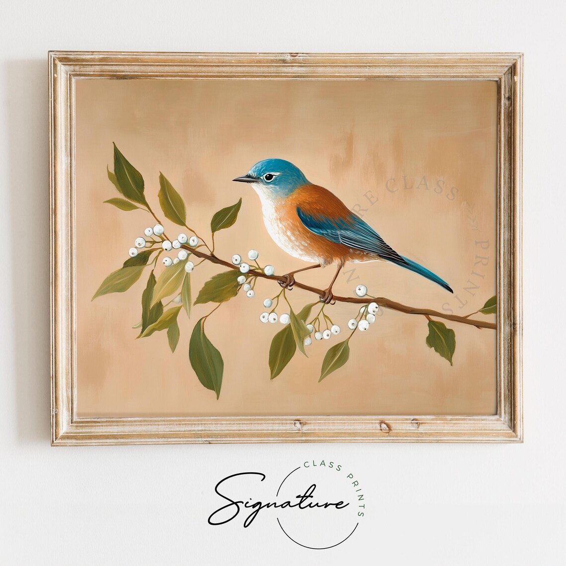 Eastern Bluebird on Berry Branch Warm Beige Vintage Bird Poster