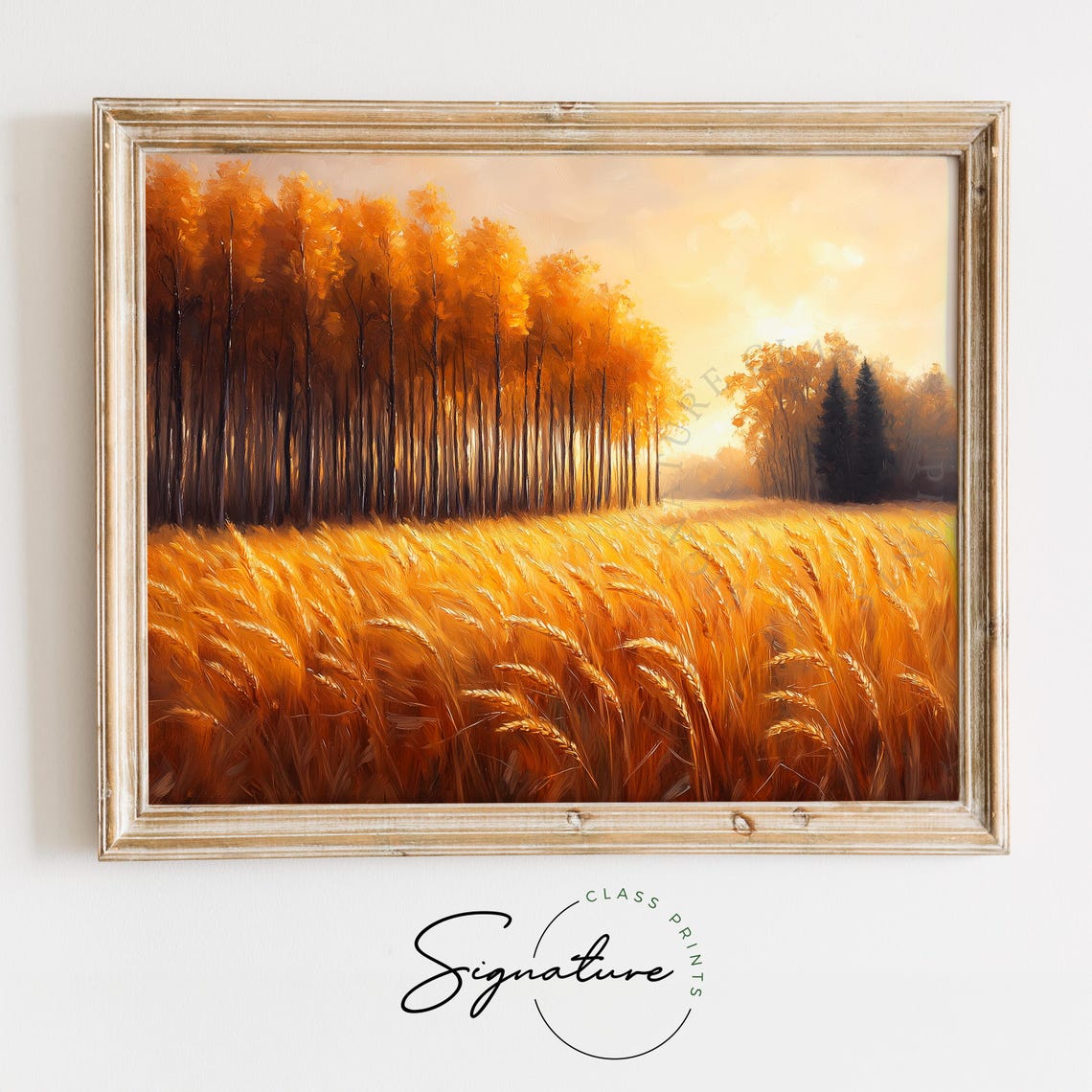 Golden Wheat Field at Sunrise Bordered by Autumn Forest Poster