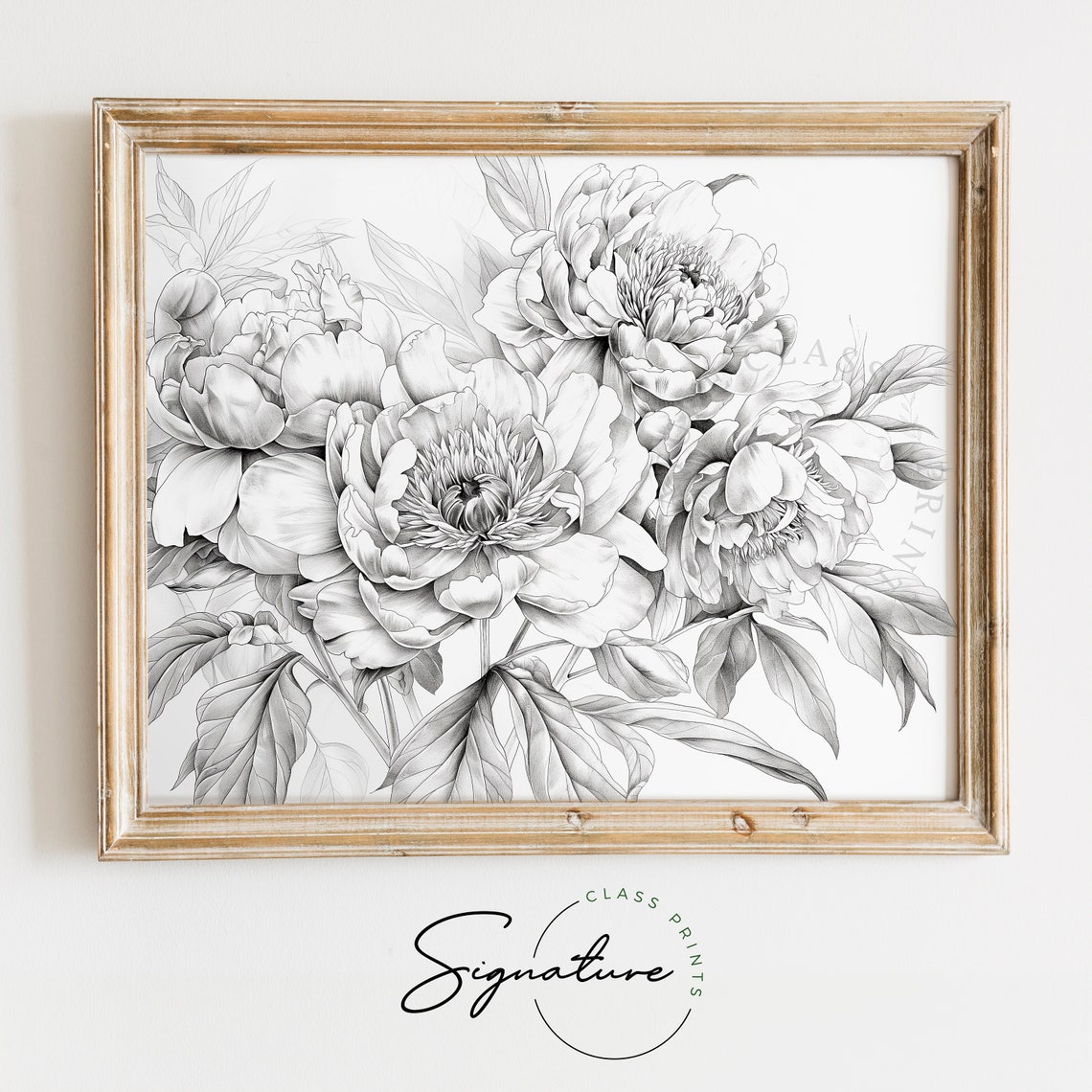 Peony Flowers Graphite Pencil Sketch Detailed Botanical Poster