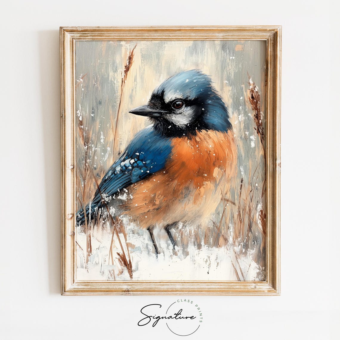 Blue Jay In Falling Snow Among Winter Grasses Bird Art Poster