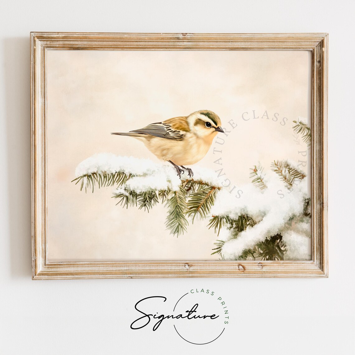Lovely Goldcrest Perched On Snowy Fir Branch Vintage Winter Print