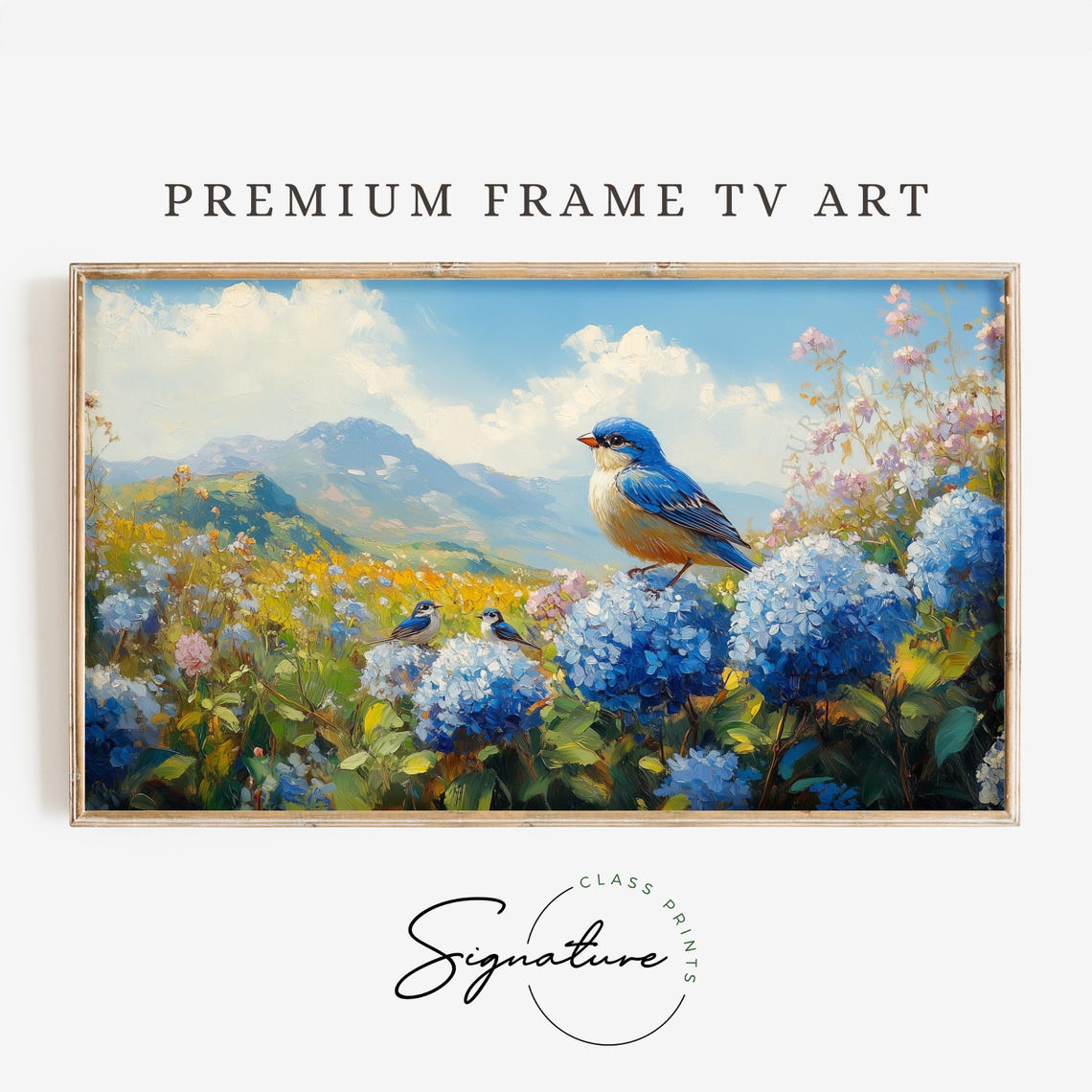 Bluebird Family On Blue Hydrangeas In Mountain Meadow Poster