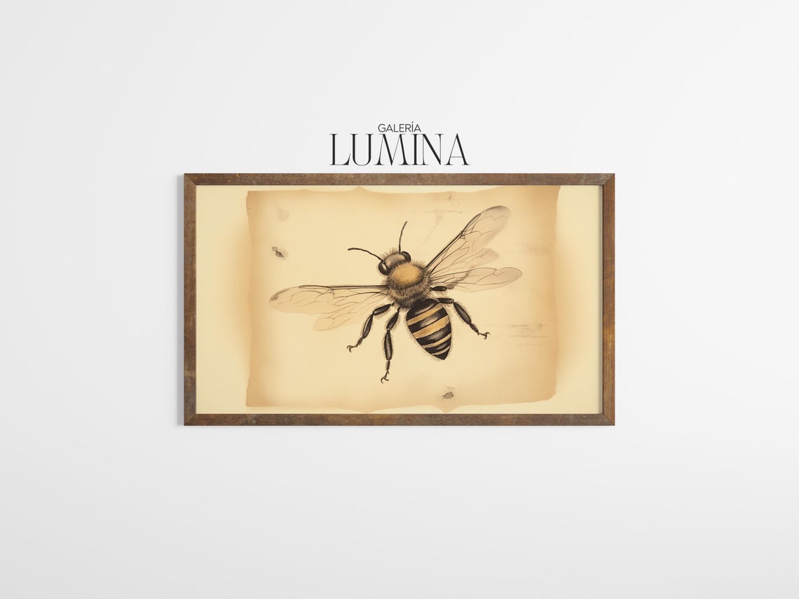 Vintage Bee Drawing Rustic Insect Sketch Antique Botanical Animal Illustration Entomology Art Print Art Frame Tv Art 893 - Image 3