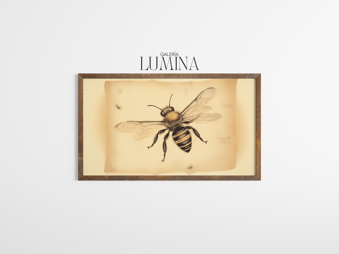 Vintage Honeybee Entomology Sketch Aged Paper Insect Art Poster - Image 3
