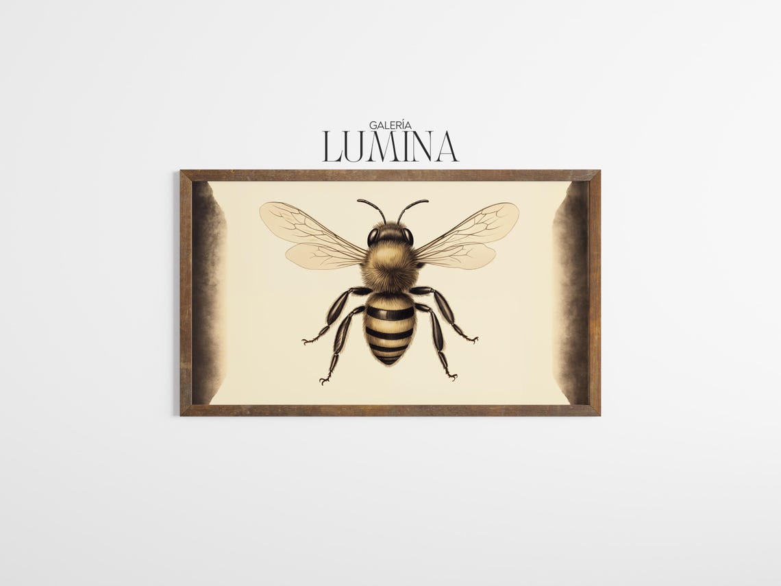 Honey Bee Drawing Nature Illustration Realistic Insect Artwork Bee Wall Art Botanical Animal Print Art Frame Tv Art 877 - Image 3
