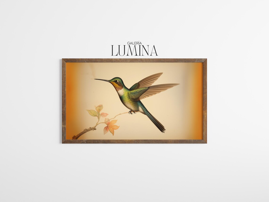 Vintage Streamertail Hummingbird, Rustic Bird Art Print - Image 3