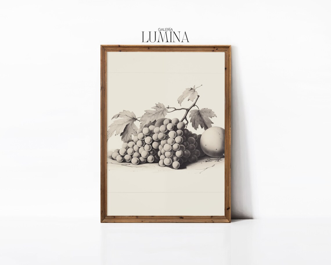 Fruit Still Life Etching Vintage Fruit Still Life Drawing Antique Kitchen Sketch Fruit Grapes Sketch Art Frame Tv Art 328 - Image 3
