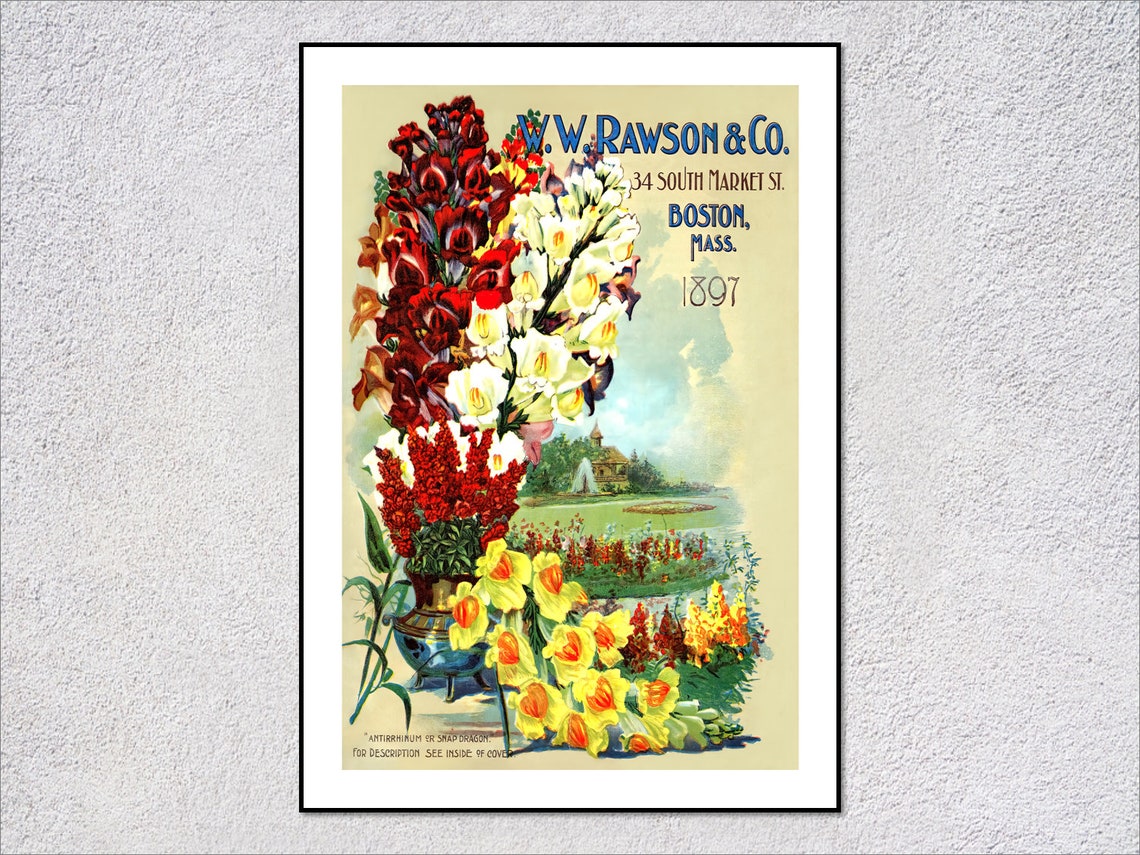 1897 Rawson Seed Catalog Snapdragons Boston Vintage Botanical Wall Art