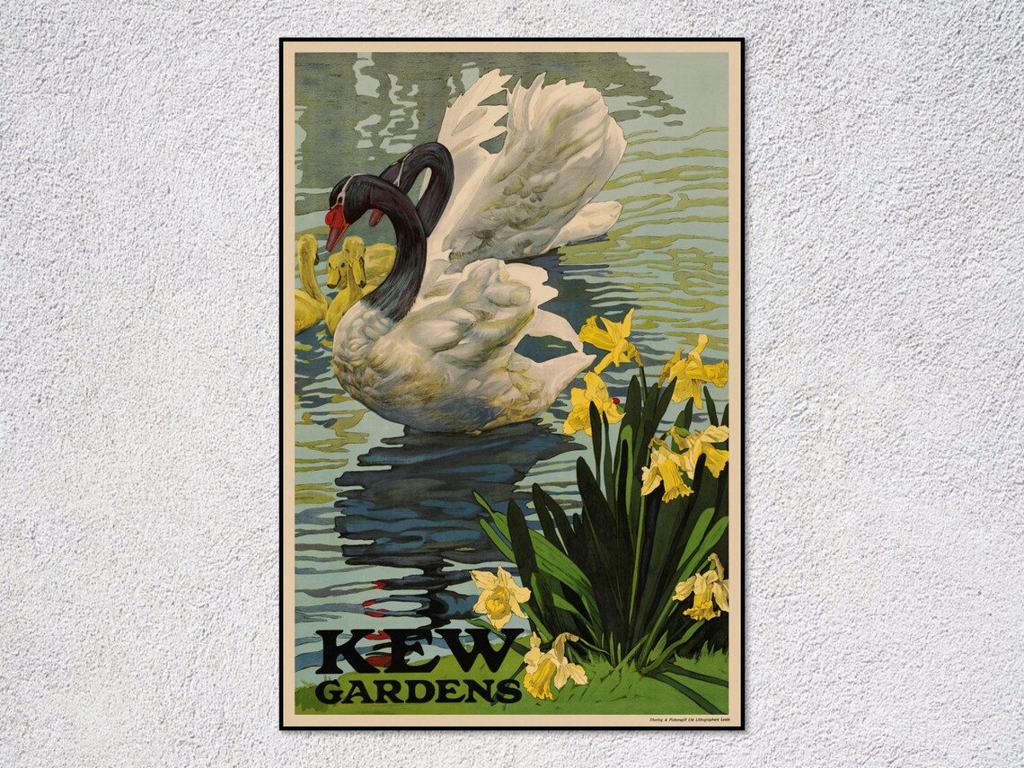 Kew Gardens Swan Pond Poster, Rustic Botanical Decor