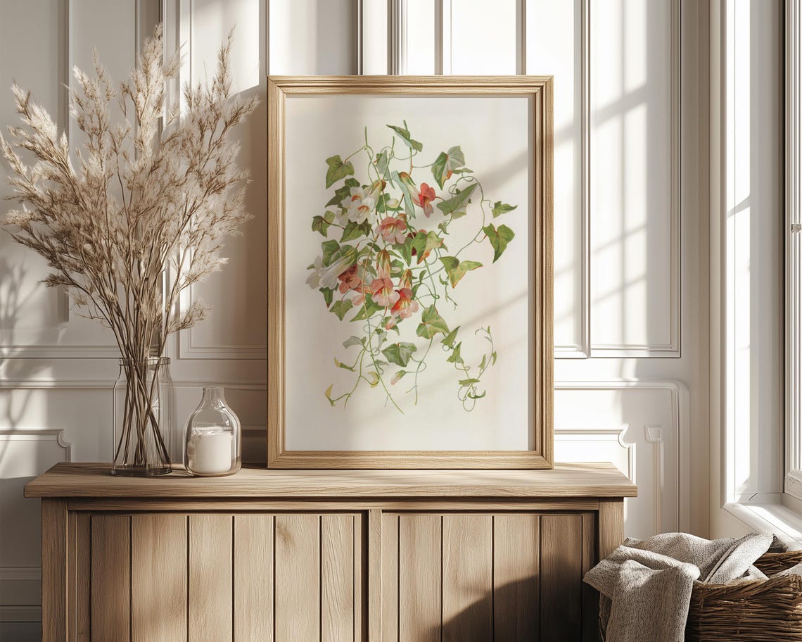 Delicate Trailing Morning Glory Vine White Blossom Botanical Poster - Image 4