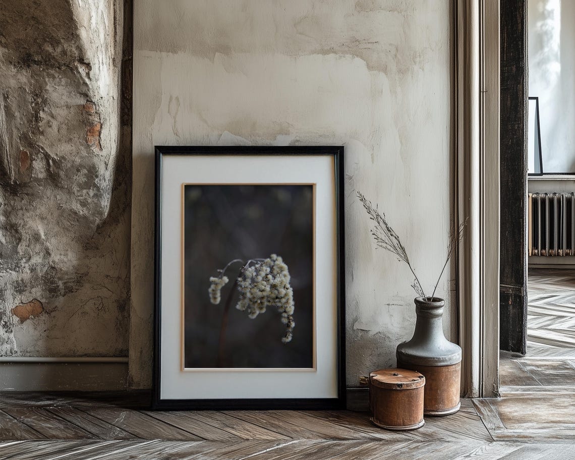 Dried Winter Grass Seed Head Moody Dark Botanical Photography Poster - Image 3