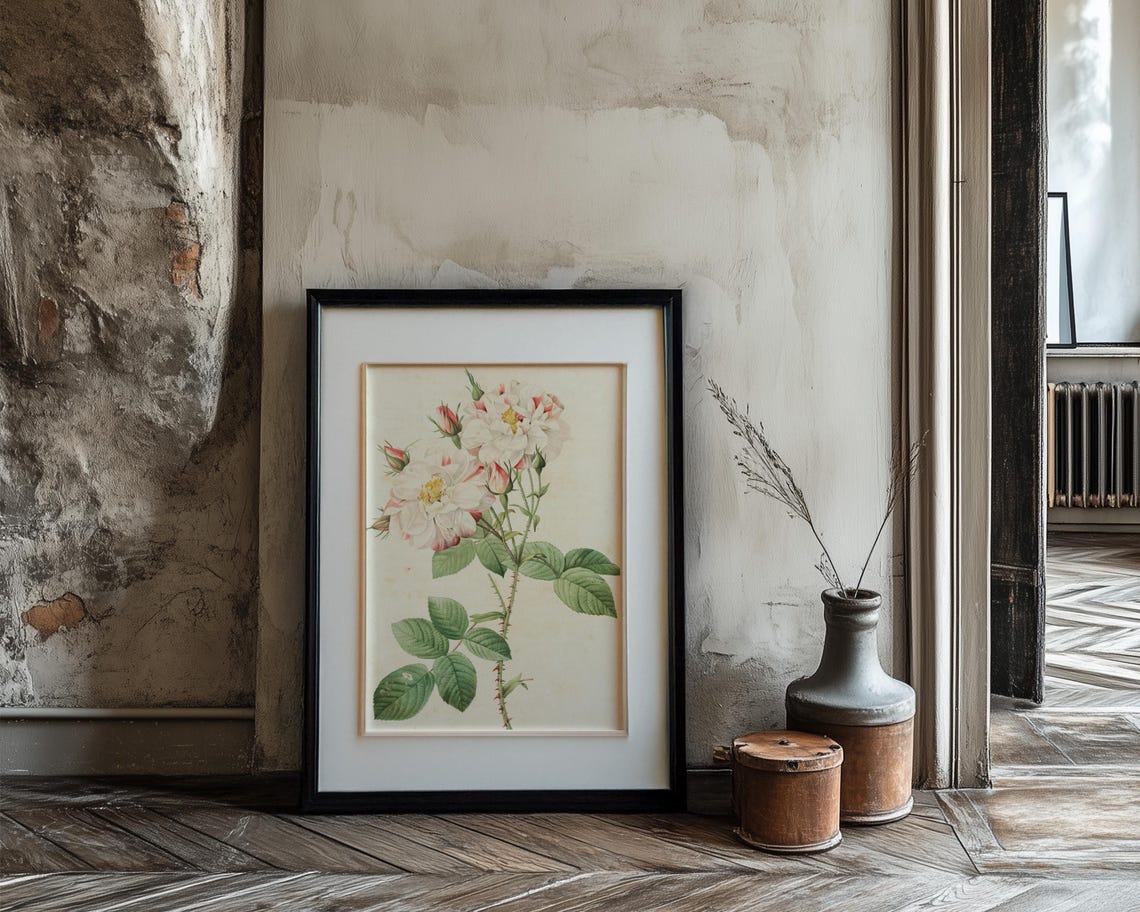 White Cabbage Roses with Blush Buds Vintage Botanical Poster - Image 3