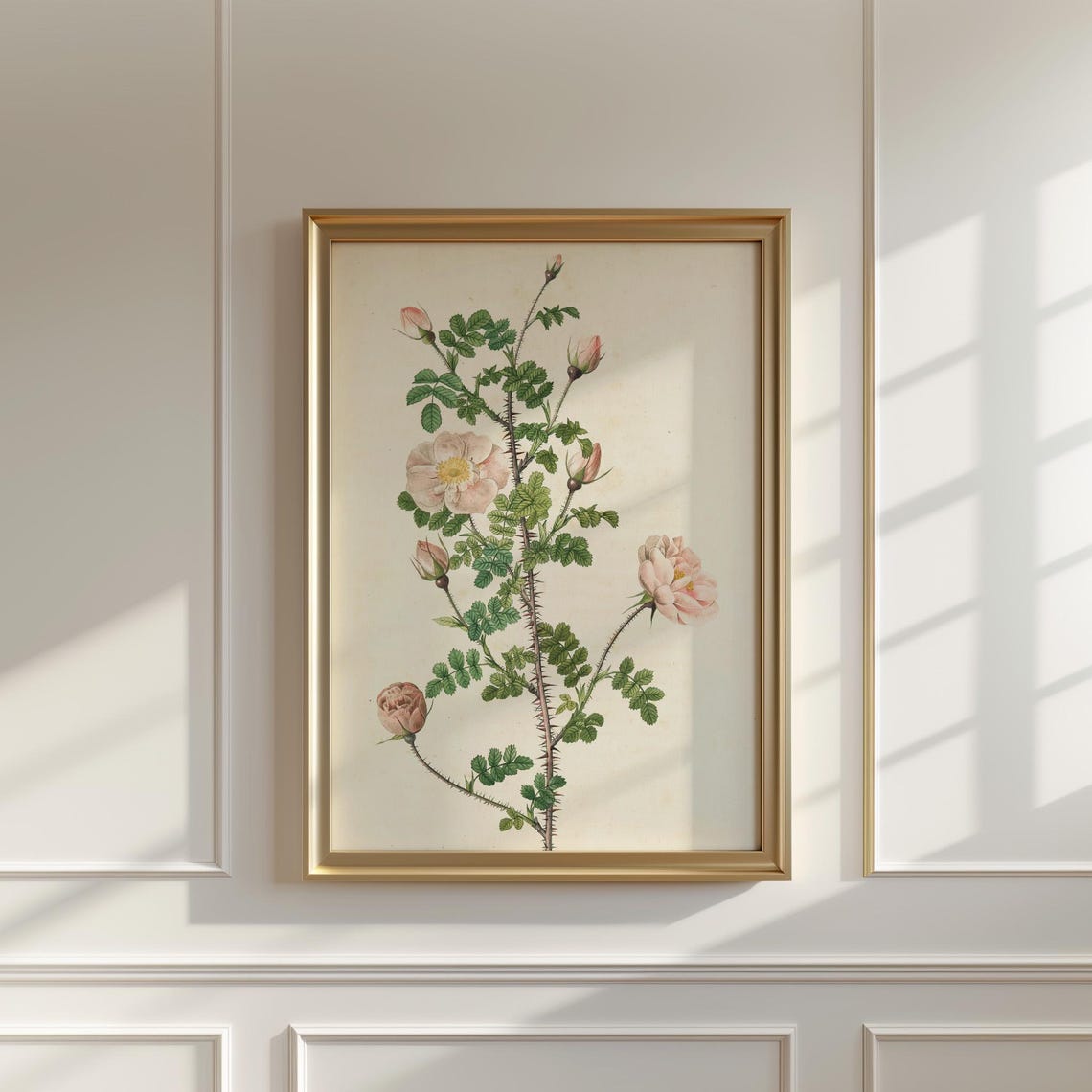 Thorny Briar Rose with Blush Blooms Vintage Botanical Poster - Image 5