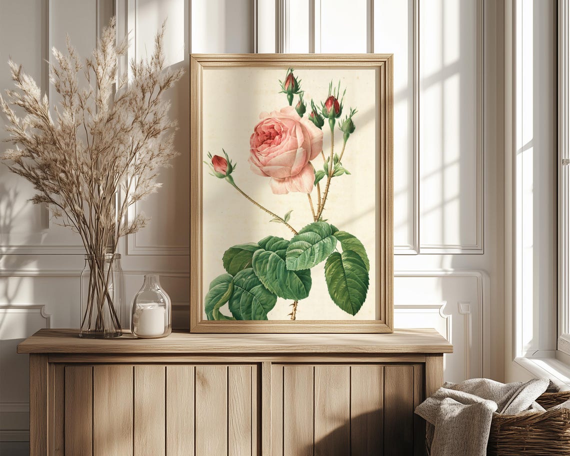 Single Blush Pink Rose Bloom with Buds Vintage Botanical Poster - Image 4