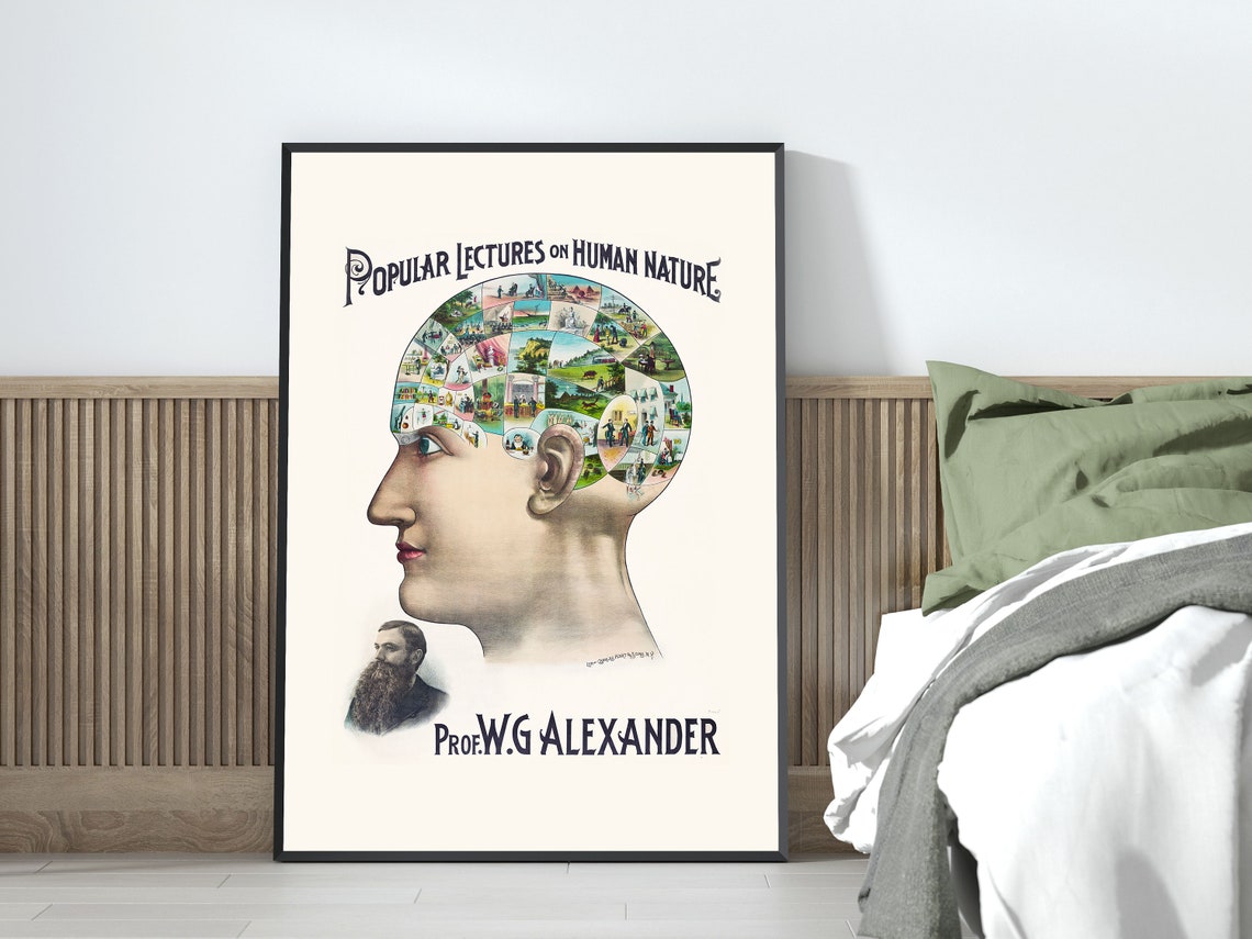 Vintage Phrenology Head Popular Lectures Human Nature Poster - Image 4