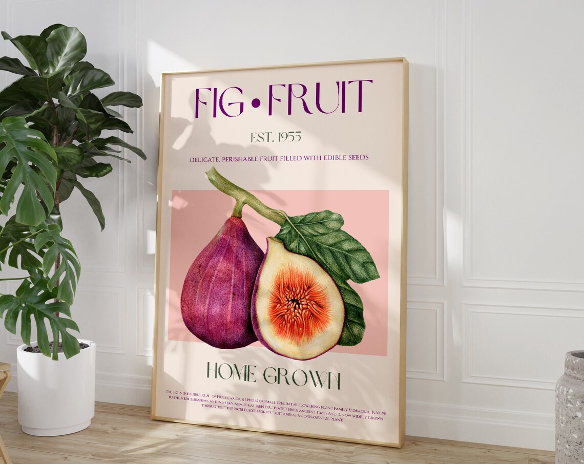 Fig Fruit Print Large Mid Century Modern Exhibition Poster Wall Art Illustration