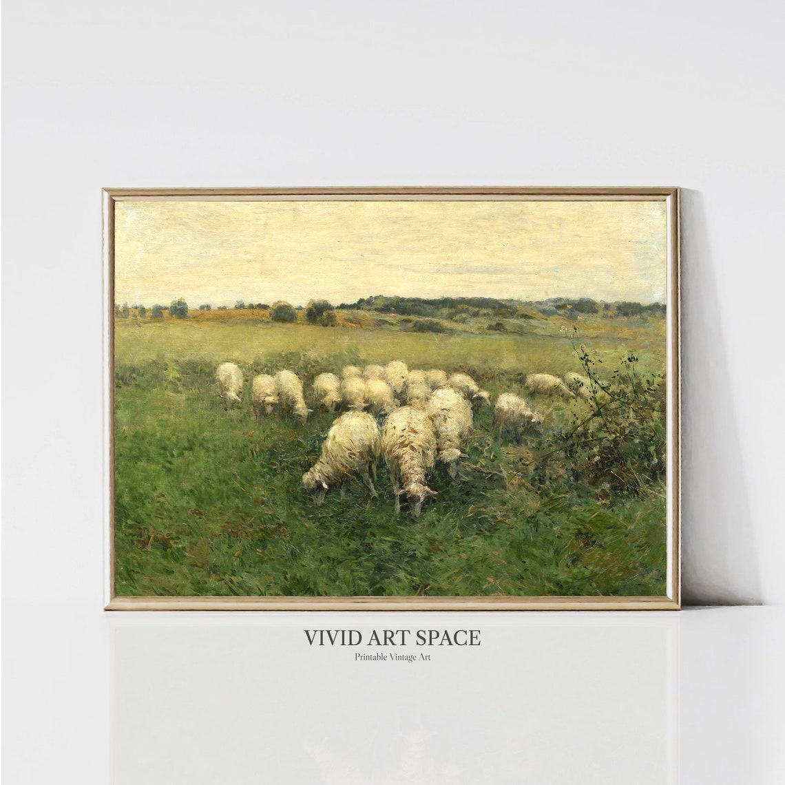 Sheep Flock Grazing Green Meadow Summer Country Landscape Poster