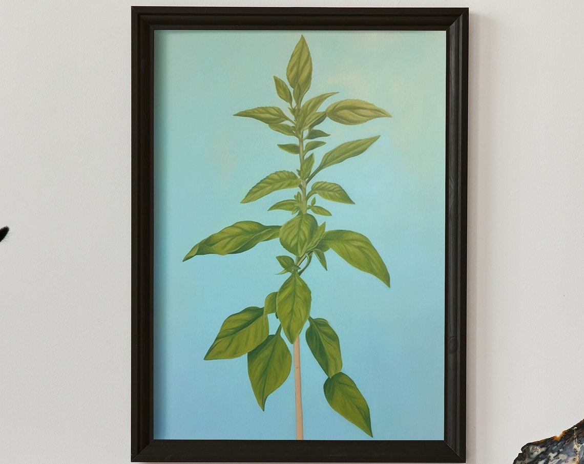 Basil Herb Vintage Botanical Oil Painting Teal Kitchen Poster
