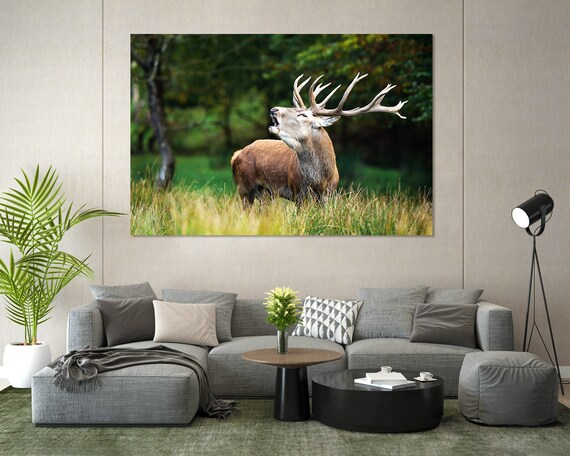 Red Deer Stag Bellowing In Meadow Wild Antlers Wildlife Photo Poster