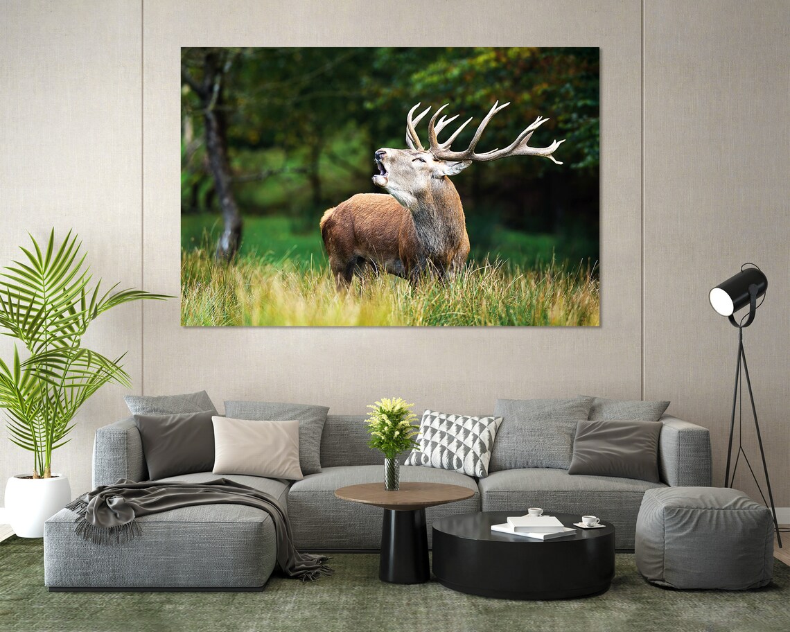 Red Deer Stag Bellowing In Meadow Wild Antlers Wildlife Photo Poster