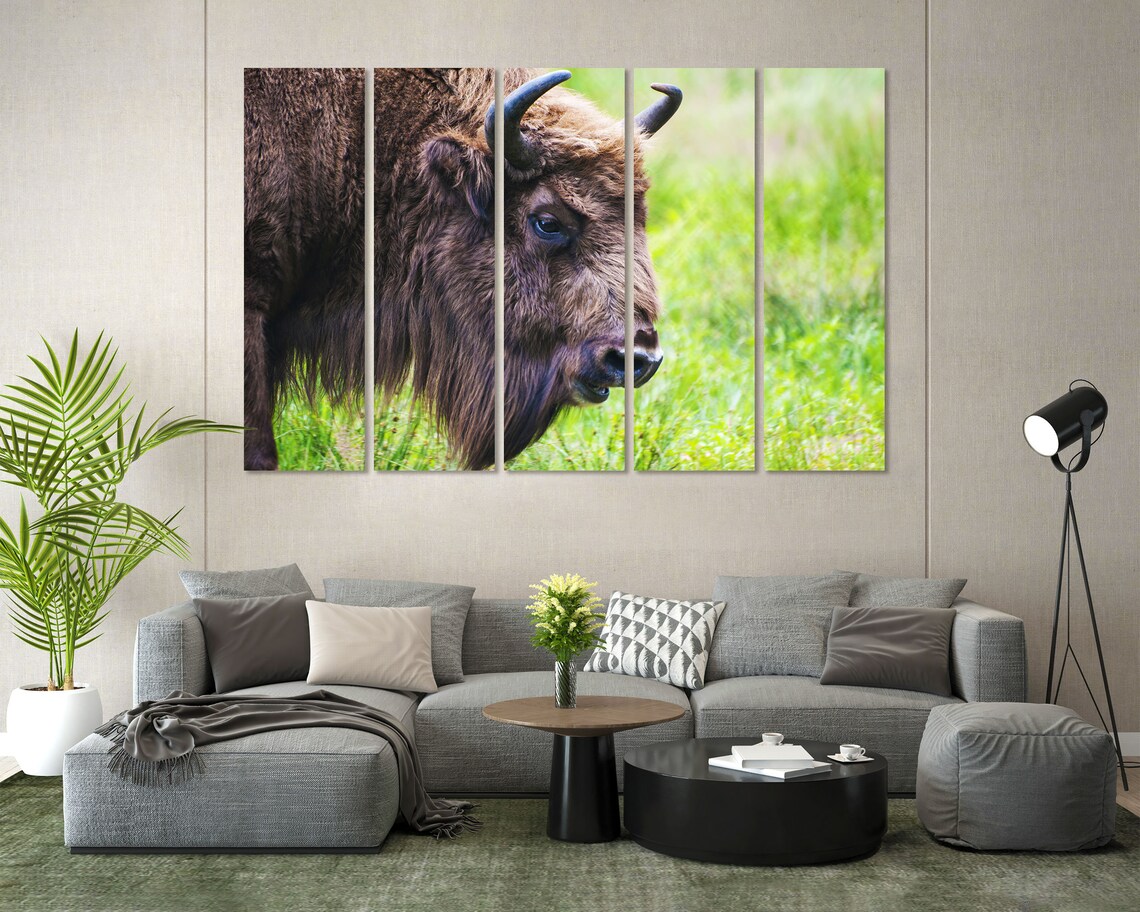 Bison Buffalo Closeup Portrait Wild Animal Wildlife Art Print - Image 7