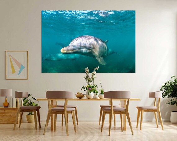 Smiling Bottlenose Dolphin Underwater Turquoise Ocean Wall Poster