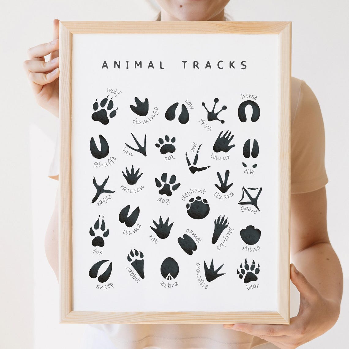 Animal Tracks Identification Chart Wildlife Footprint Poster - Image 3