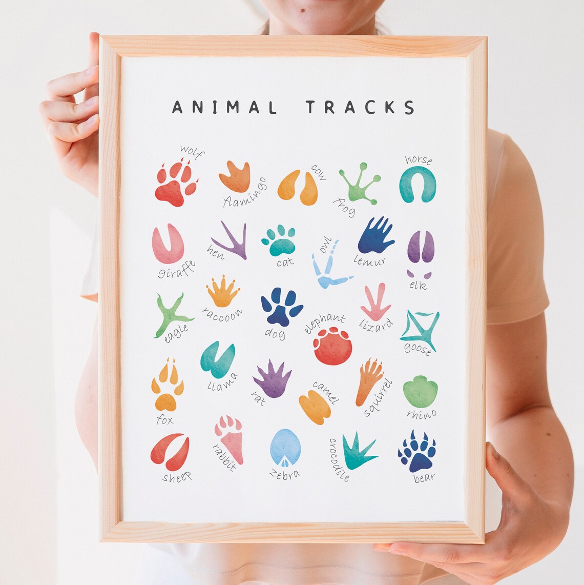 Animal Tracks Poster, Rainbow Nursery Decor - Image 3