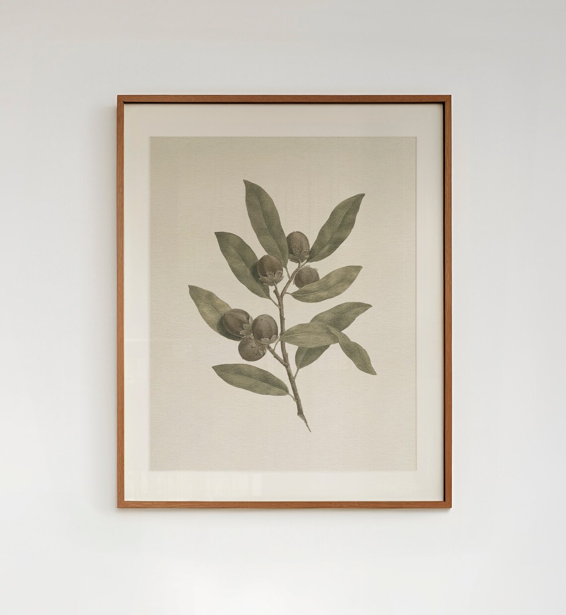Vintage Botanical Branch Drawing, Neutral Wall Print - Image 4
