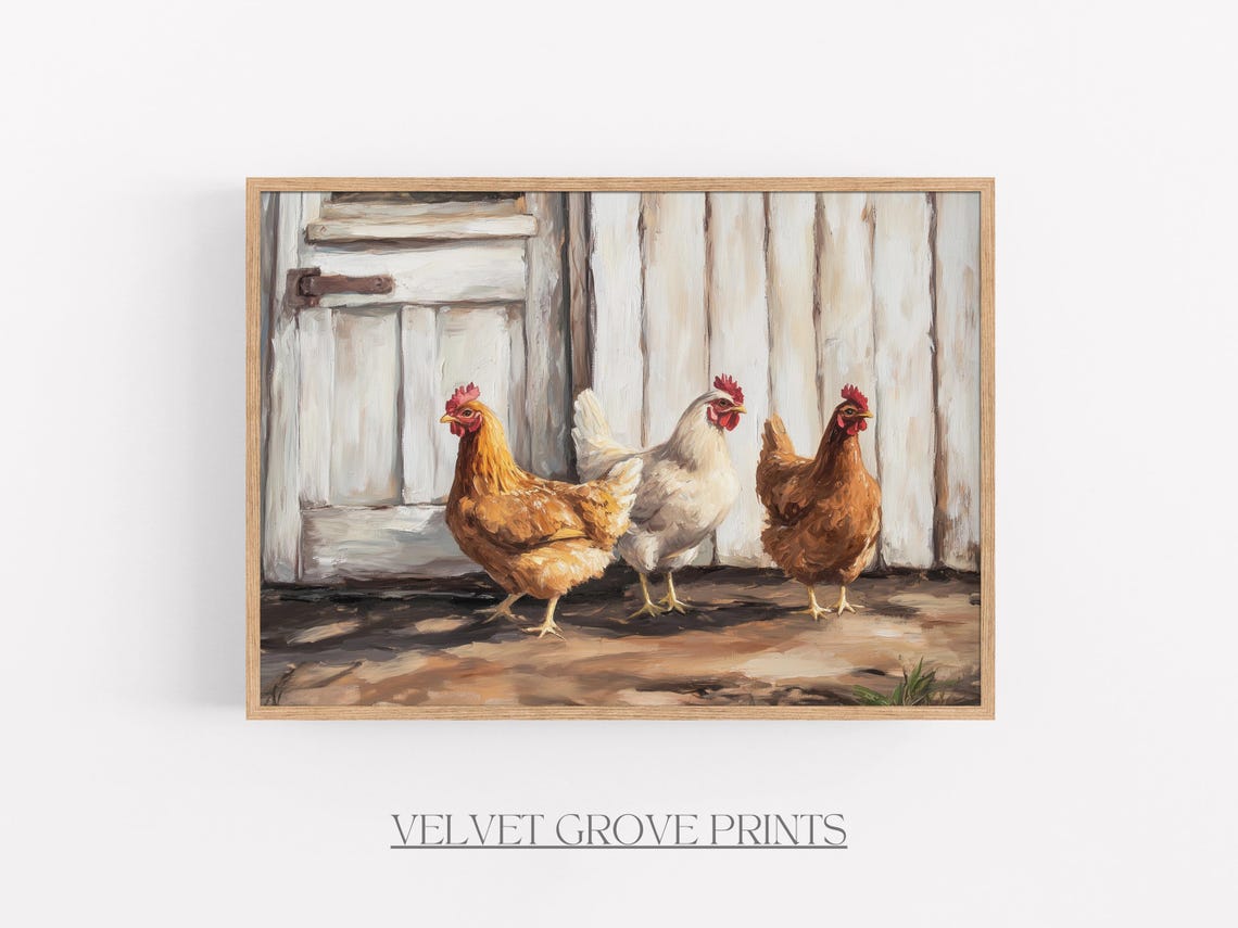 Three Hens By White Barn Door Rustic Country Chicken Art Poster