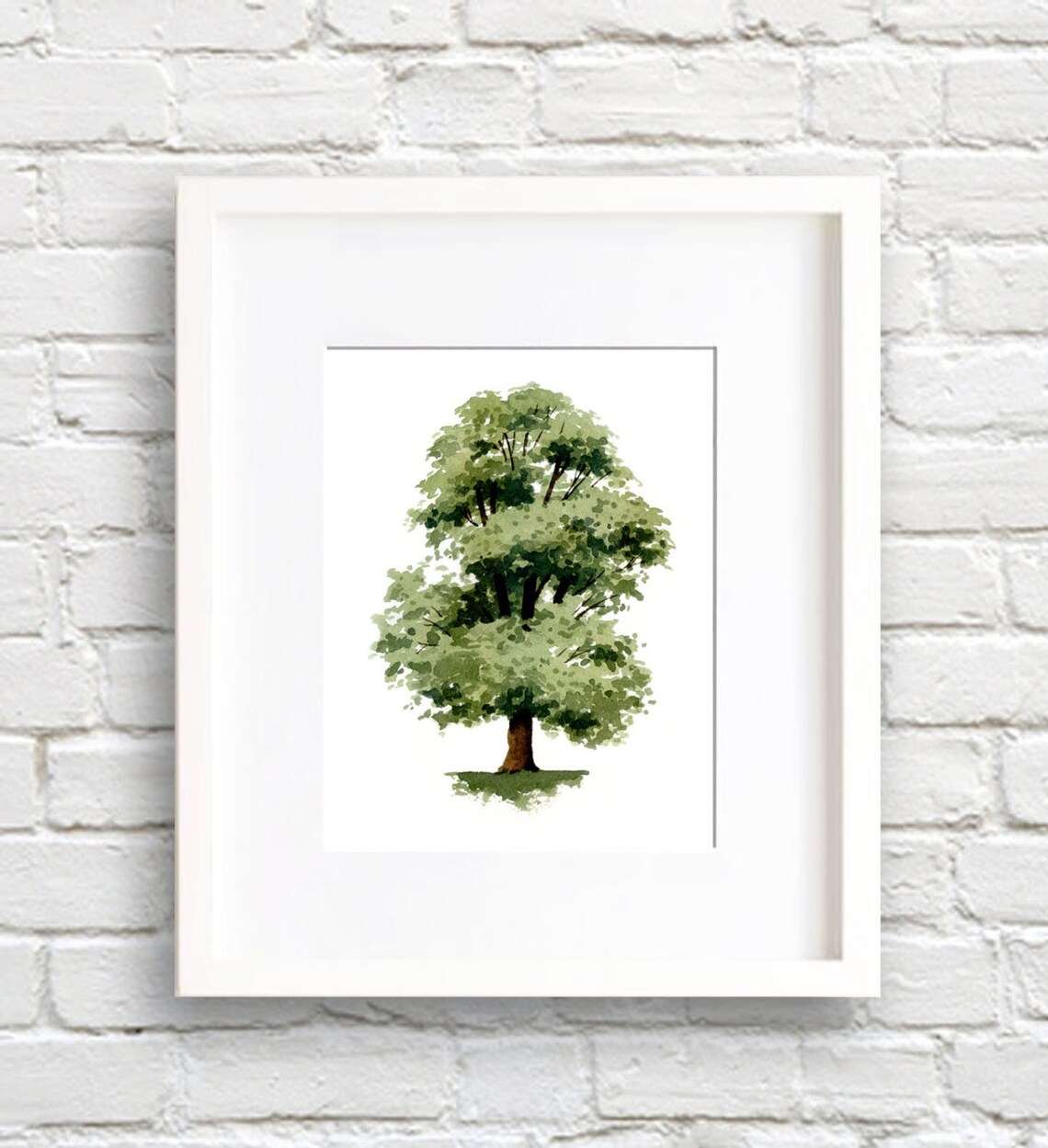Elm Tree Watercolor Art Print, Nature Wall Decor